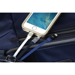 Just Mobile Lightning opladerkabel til iphone/iPad (Guld)